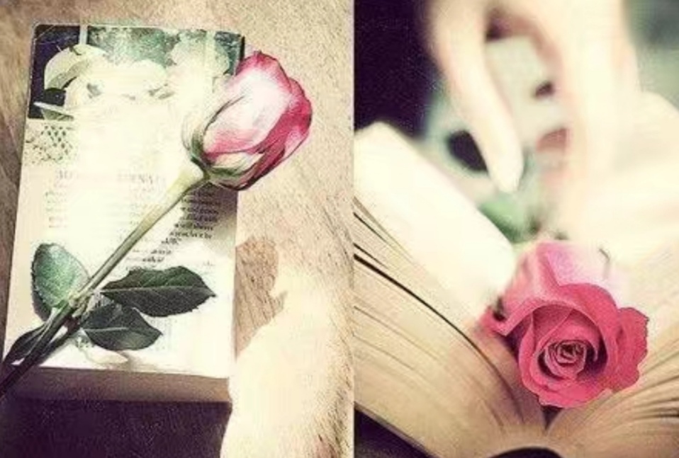 也许，这就是成熟。-陌路人博客- 第3张图片