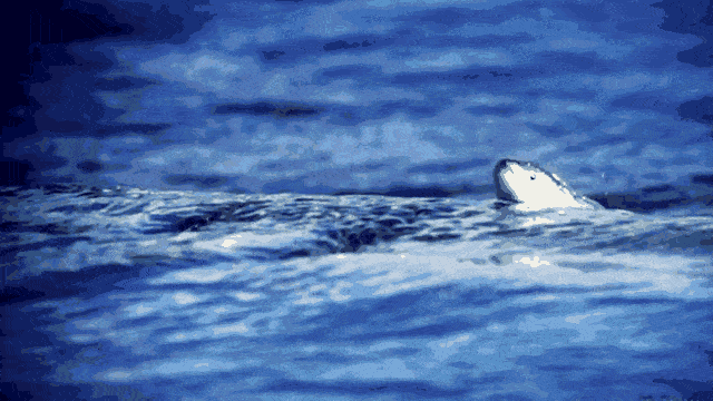 你没想象之中的坚强/你比想象之中的脆弱-陌路人博客-第4张图片