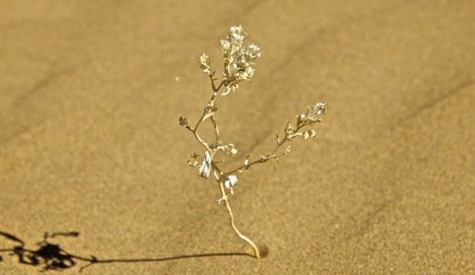 一个人改变很多人的故事-永不放弃-陌路人博客-第4张图片