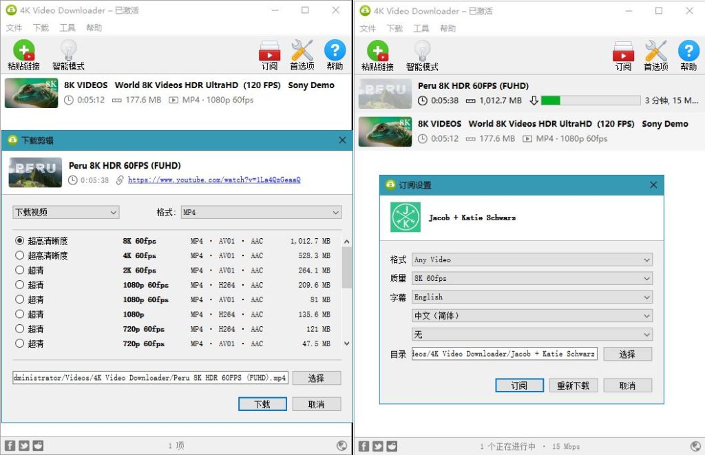 4K Video Downloader v4.21.6.5030中文绿色便携版[2022-9-30] | 听风博客网