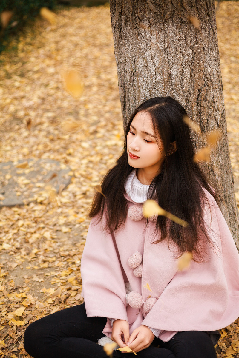 图片[1] | 学校的银杏 | 听风博客网