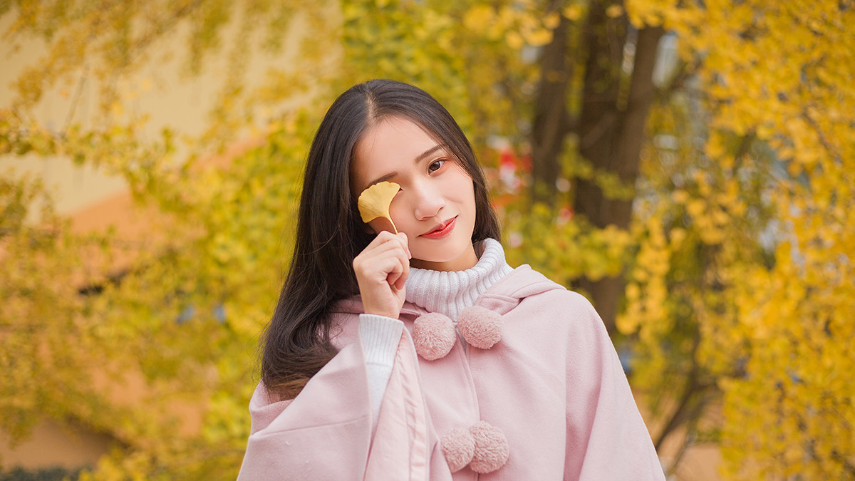 图片[2] | 学校的银杏 | 听风博客网