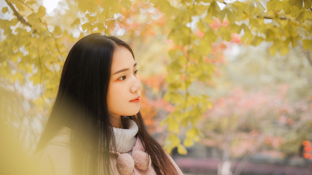 图片[3] | 学校的银杏 | 听风博客网