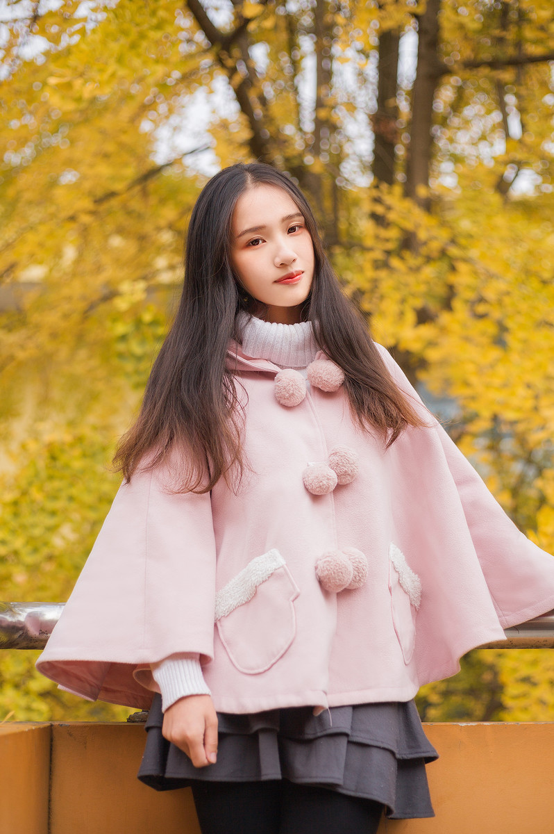 图片[6] | 学校的银杏 | 听风博客网