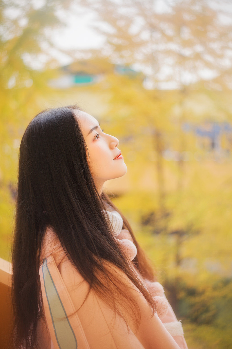 图片[8] | 学校的银杏 | 听风博客网