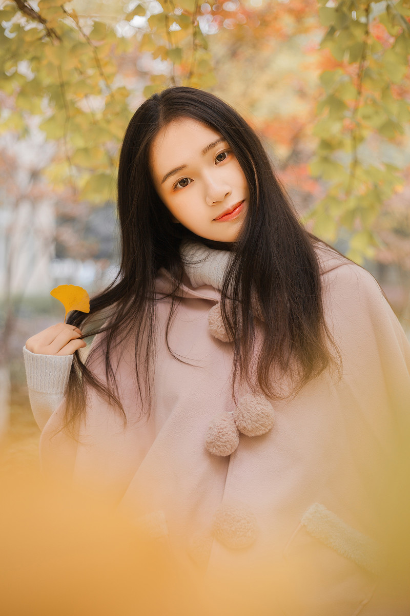 图片[10] | 学校的银杏 | 听风博客网