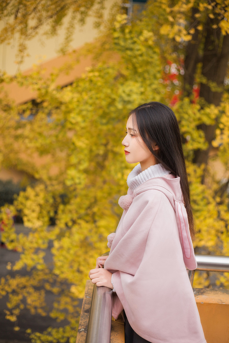 图片[11] | 学校的银杏 | 听风博客网