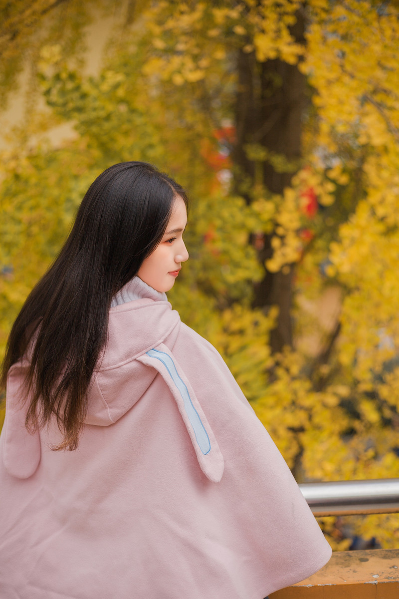 图片[12] | 学校的银杏 | 听风博客网