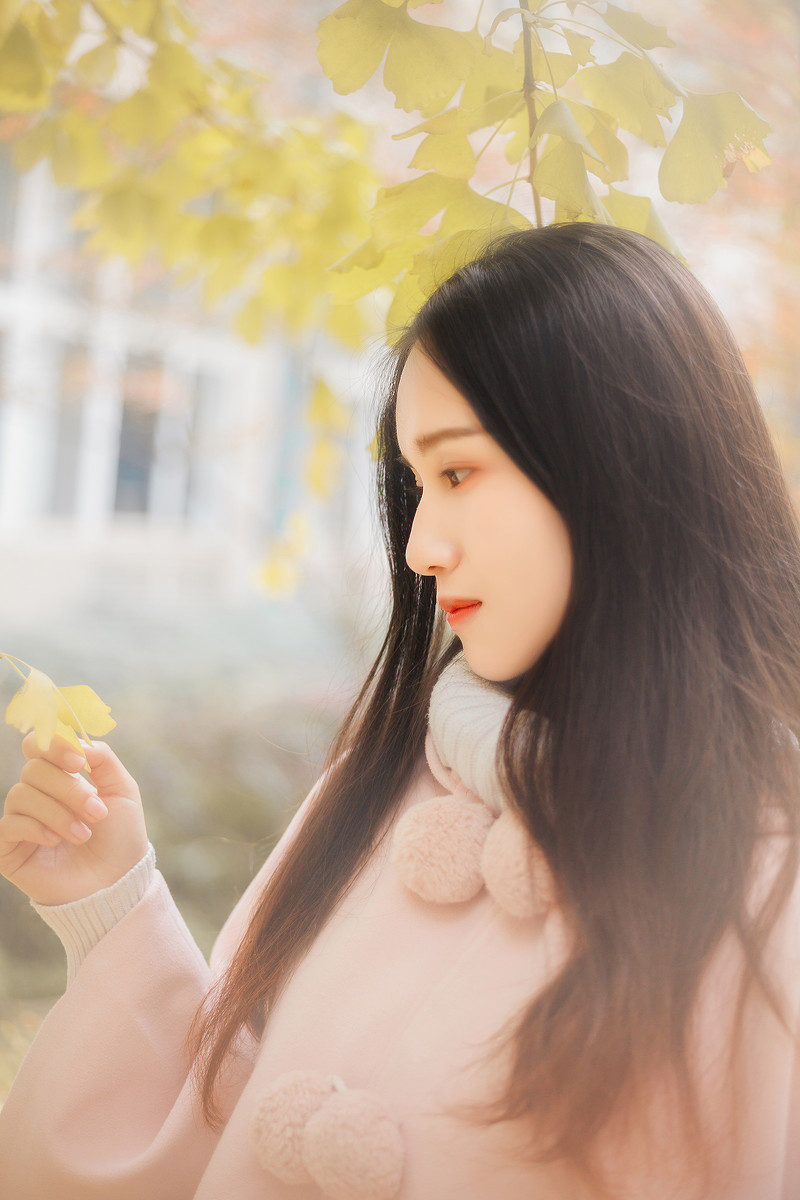 图片[13] | 学校的银杏 | 听风博客网