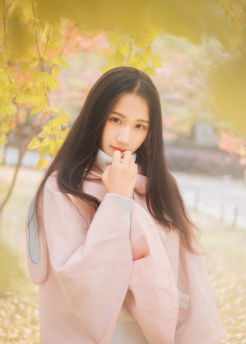 图片[14] | 学校的银杏 | 听风博客网