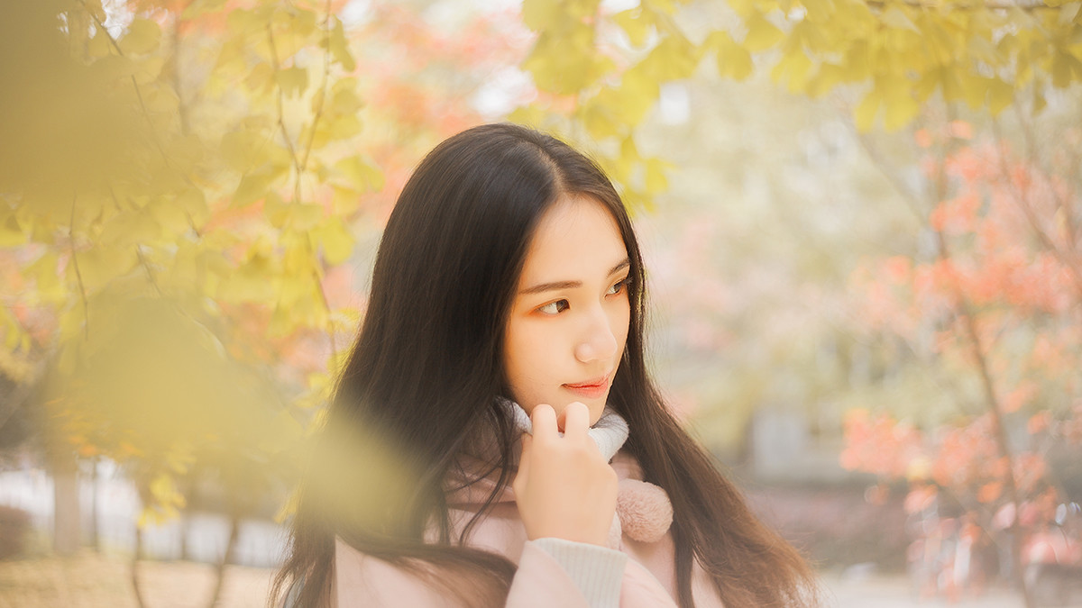 图片[16] | 学校的银杏 | 听风博客网